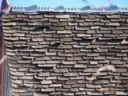 DIY Shake Roof Inspection: How Much Life Is Left?