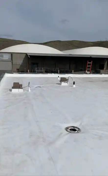 New roof drain set into the 60 mil TPO membrane at Syntec US in Yakima